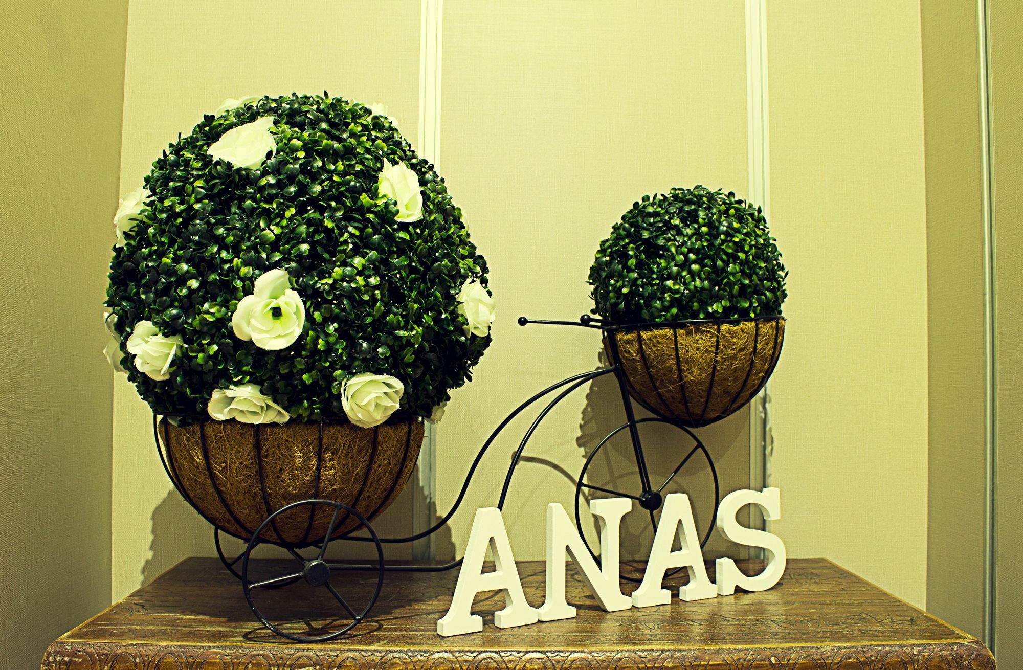 Gasthuis Anas 2*